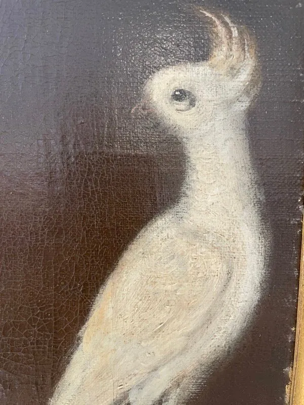 18TH CENTURY PORTRAIT OF GIRL WITH BIRD American - Durand