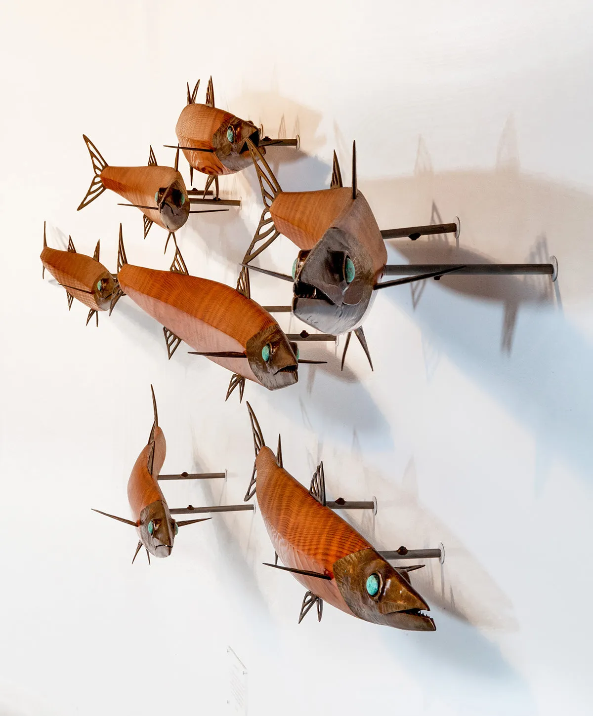 Barracuda School