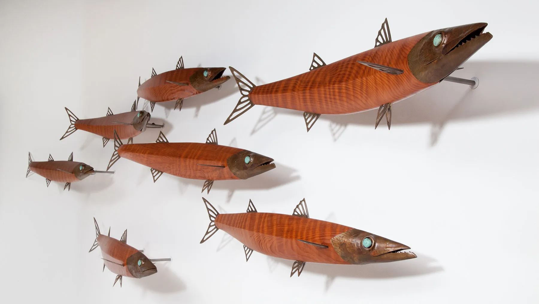 Barracuda School