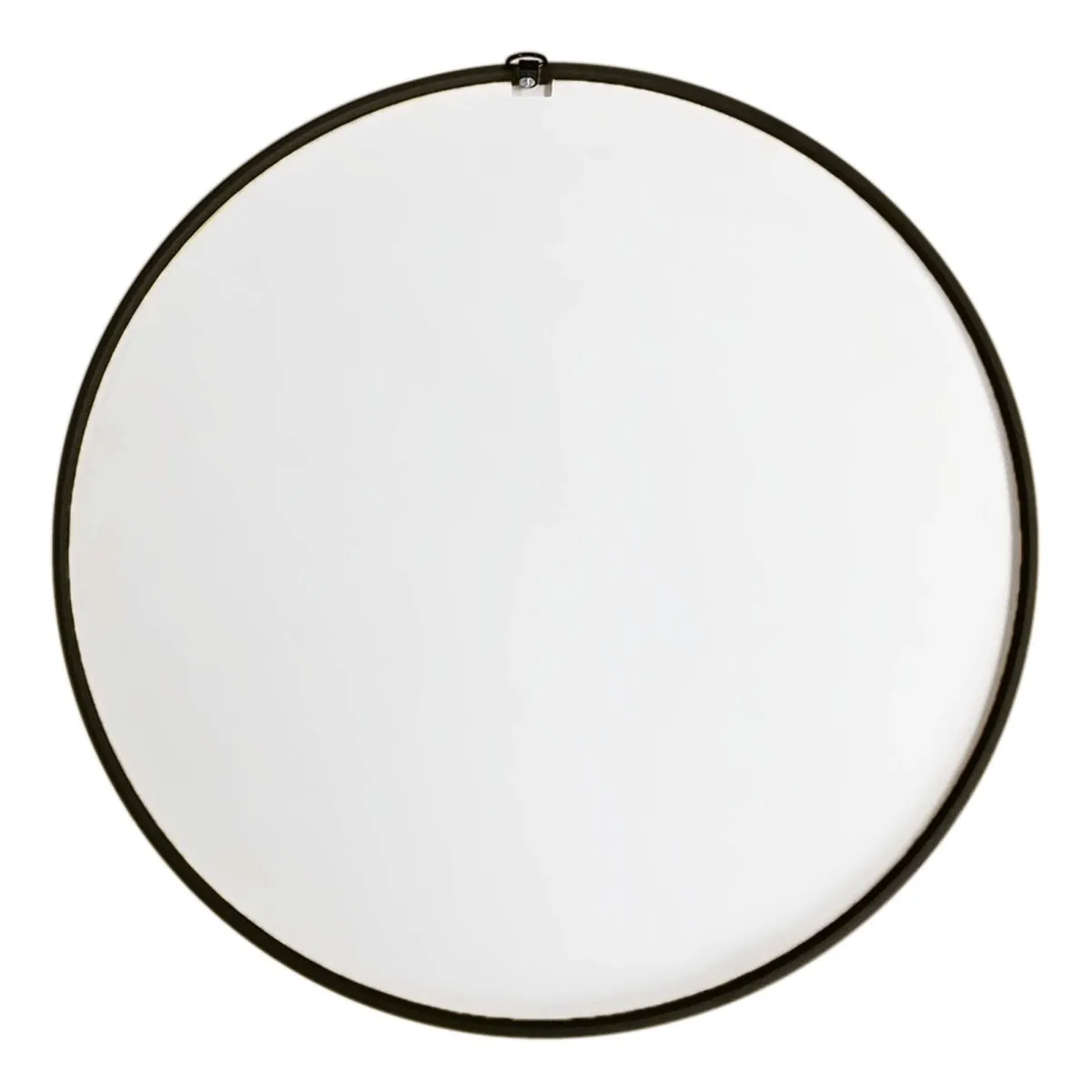 Florida Panthers: Secondary Logo - Modern Disc Mirrored Wall Sign