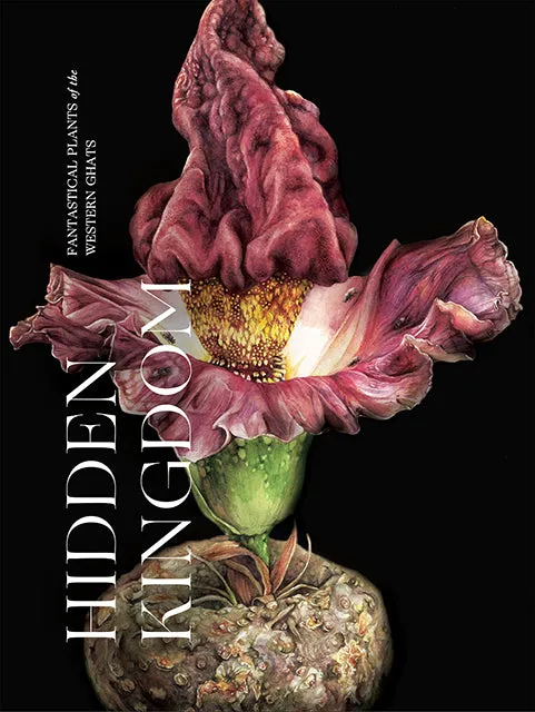 Hidden Kingdom