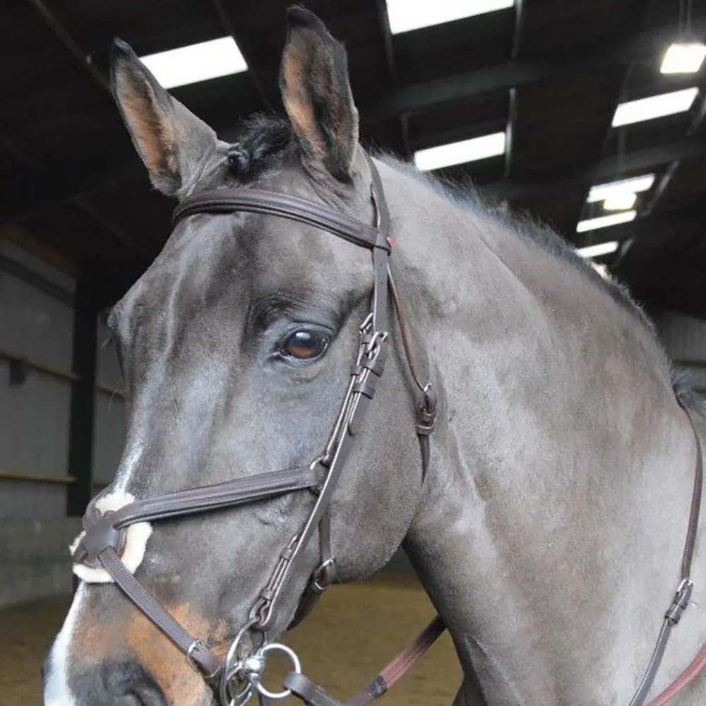 John Whitaker Ready To Ride Martingale | Two Colours
