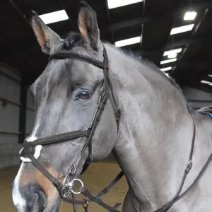 John Whitaker Ready To Ride Martingale | Two Colours