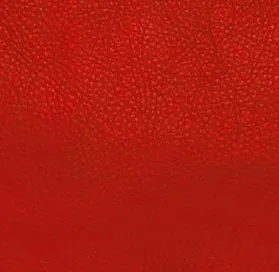 Napa Leather Women's Backpack