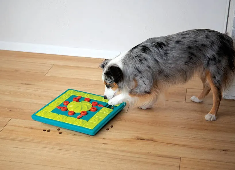 Nina Ottosson MultiPuzzle Interactive Dog Treat Puzzle Toy
