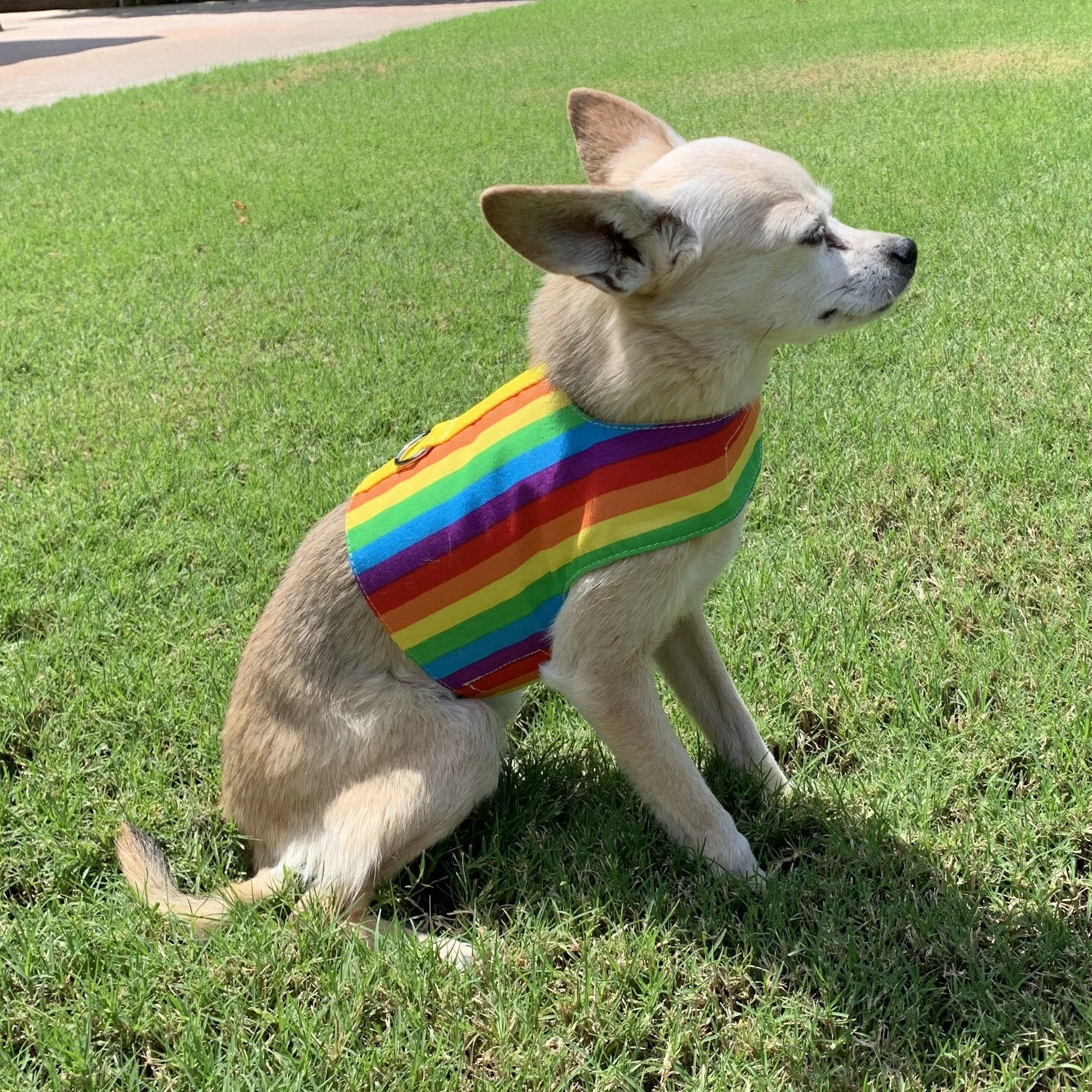 Rainbow Stripe Pride Dog Vest Harness