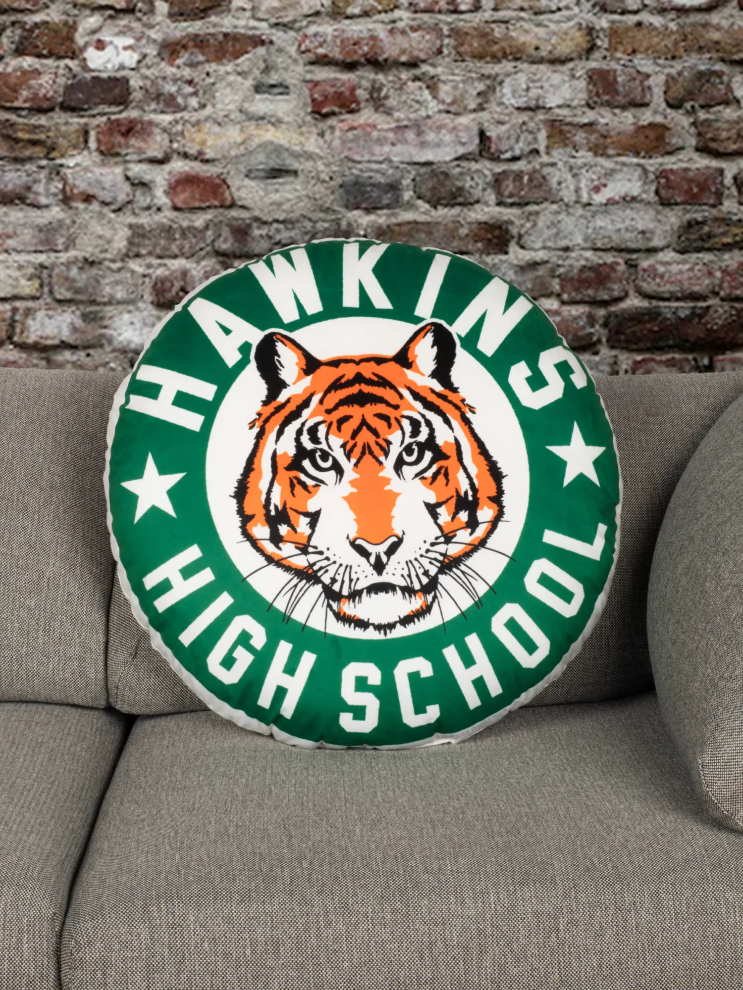 Stranger Things Hawkins High School Pillow