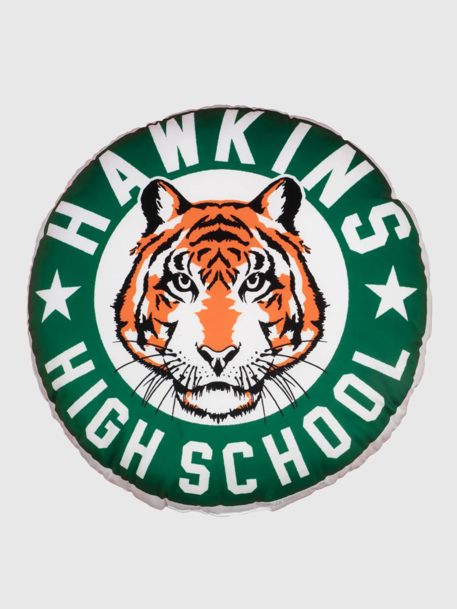 Stranger Things Hawkins High School Pillow