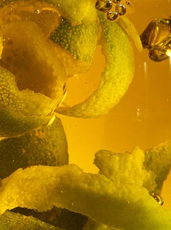 THE EYE CONCENTRATE