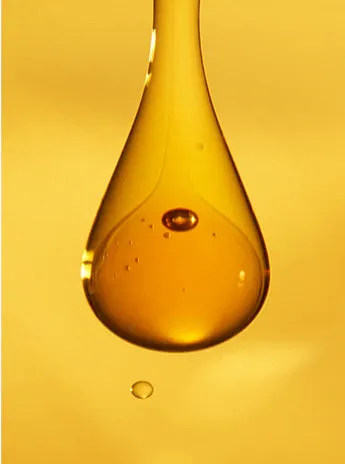THE EYE CONCENTRATE