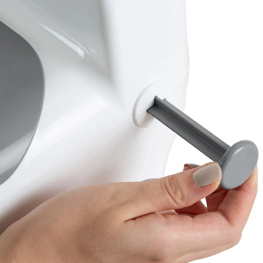 Toilet Potty with Flushing Sound