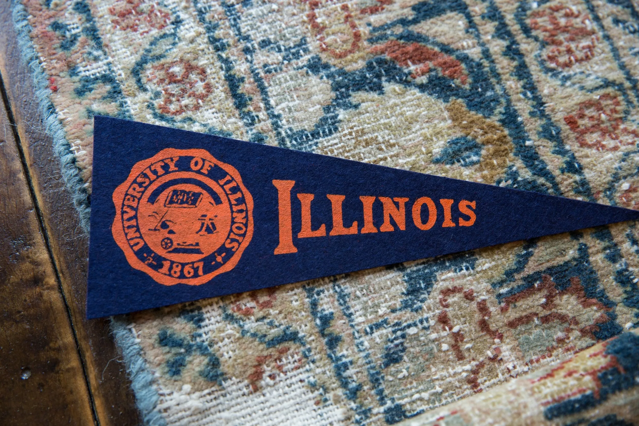 Vintage University of Illinois Felt Flag